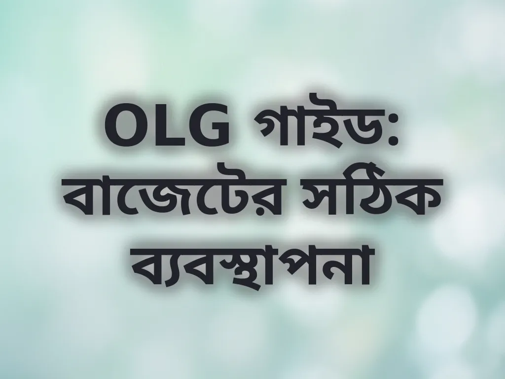 বাজেট ব্যবস্থাপনা গাইড